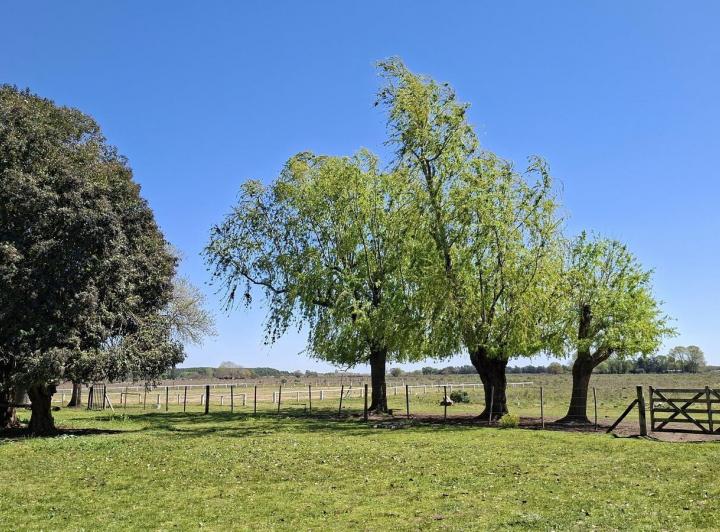 Campo · 170000m² · 5 Ambientes