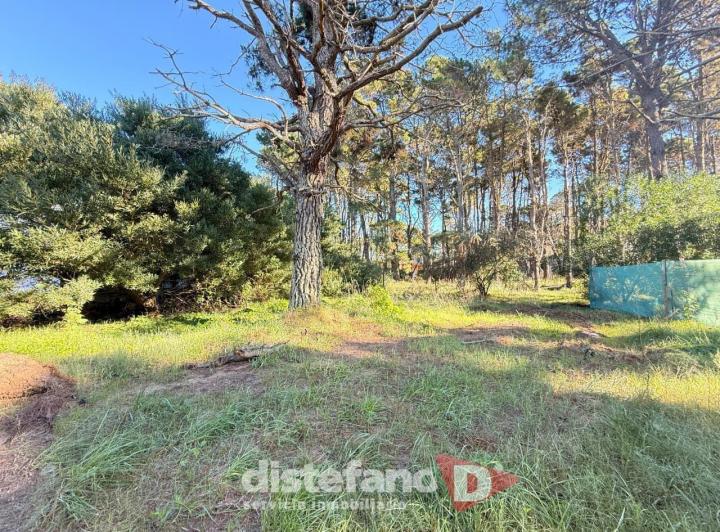 Terreno · 880m²