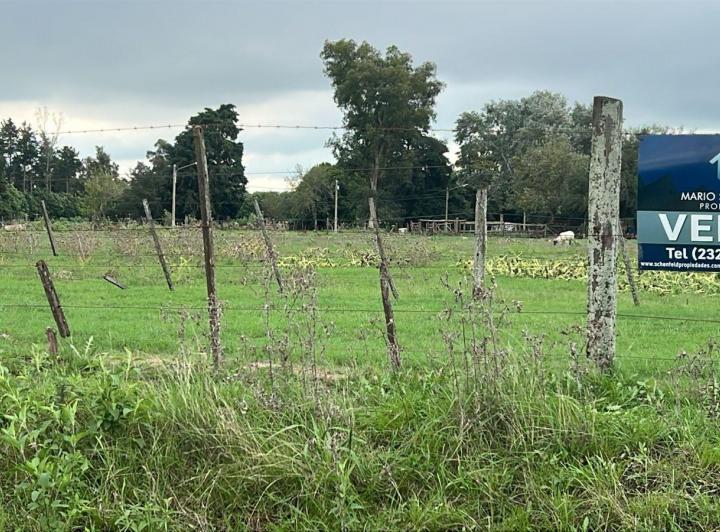 Terreno · 10000m²