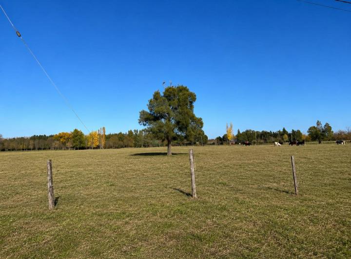 Terreno · 5611m²