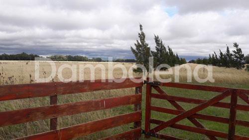 Campo · 250000m²