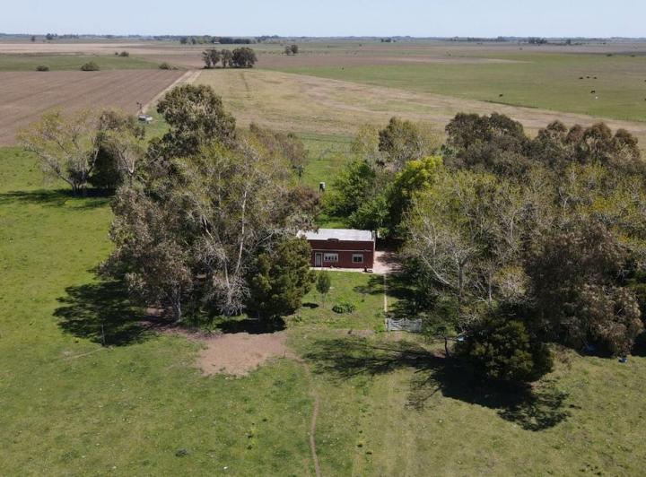 Campo · 96m²
