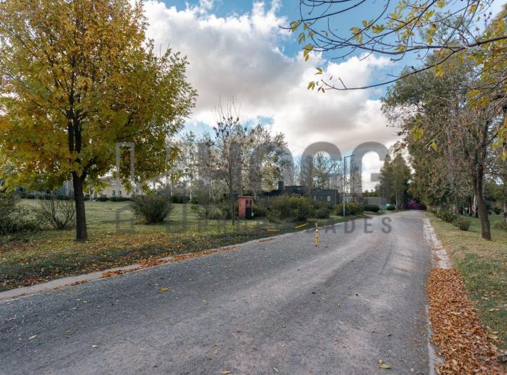 Terreno · 1000m²
