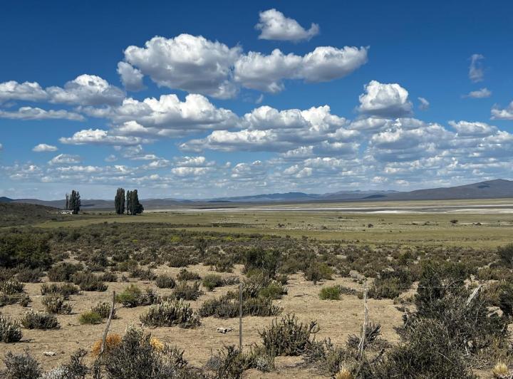 Campo · 10000ha