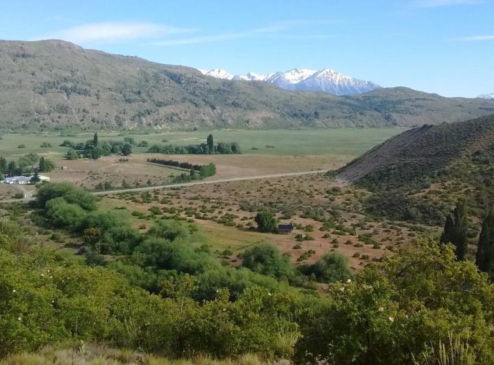 Campo · 1600ha