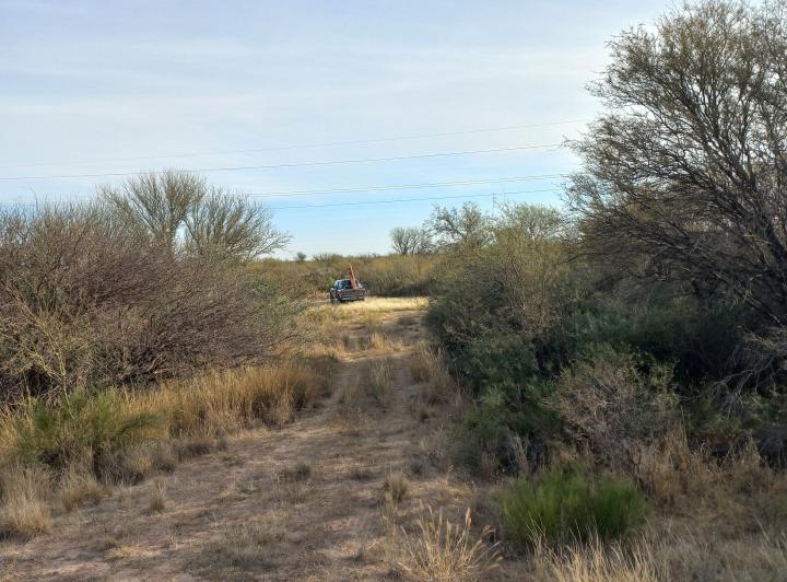 Campo · 84ha