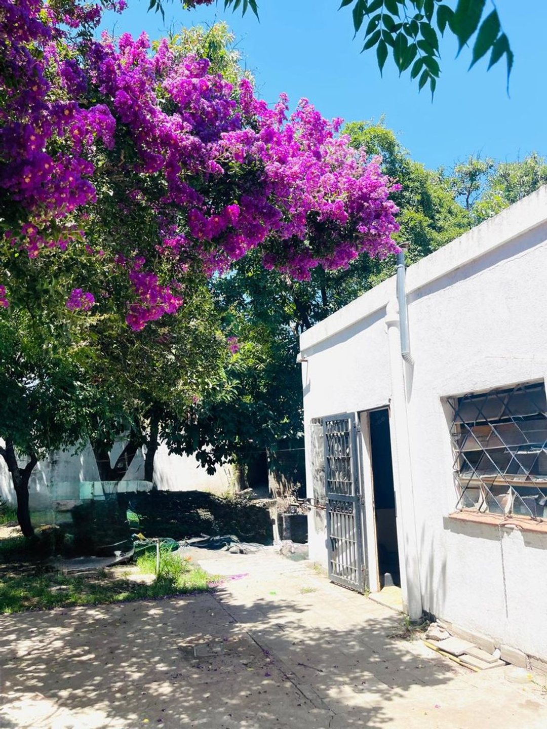 LOTES EN VENTA EN GUERNICA ESTACIÓN APTO CREDITO