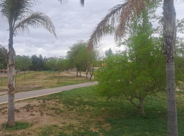 Departamento · 65m² · 6 Ambientes · 1 Cochera