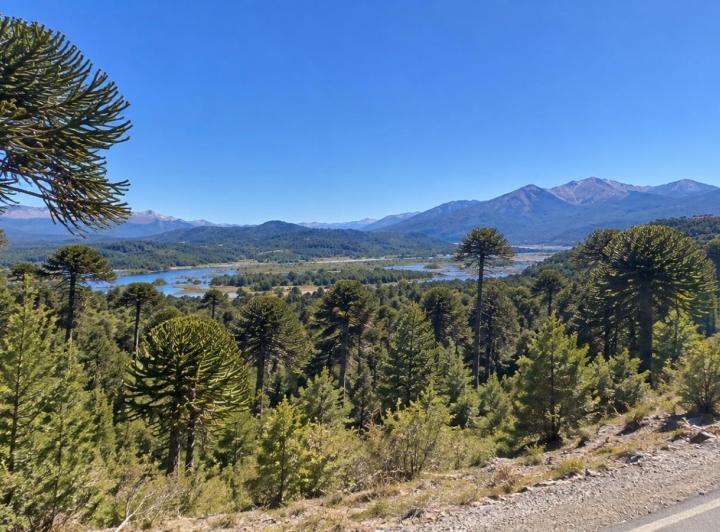 Terreno · 1178m²