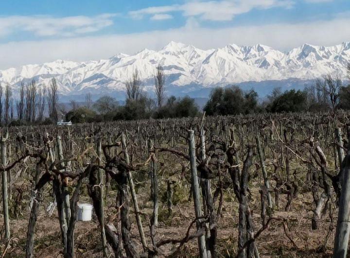 Campo · 1ha