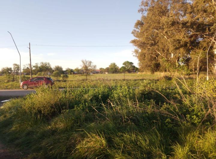 Terreno · 1238m²