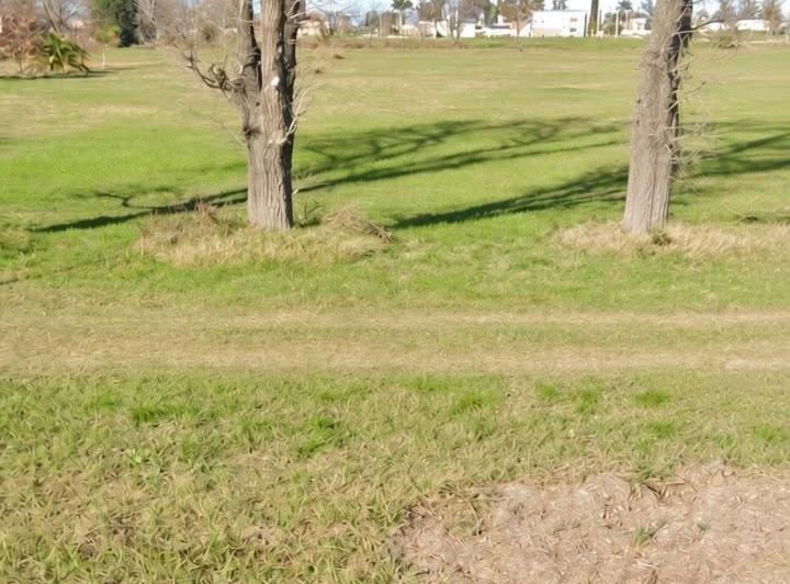 Terreno · 300m²