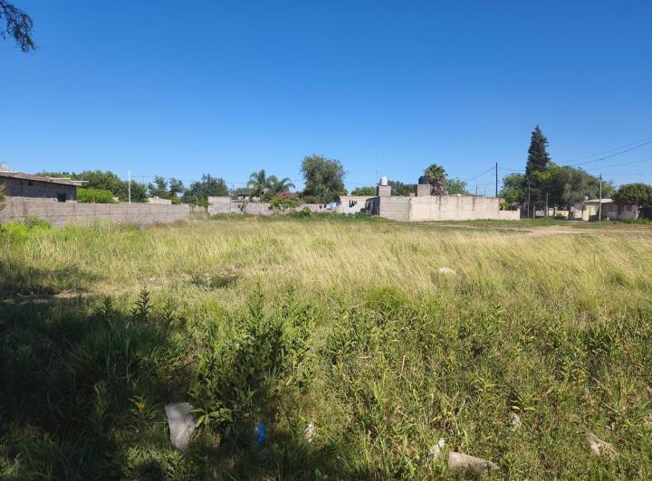 Terreno · 1000m²