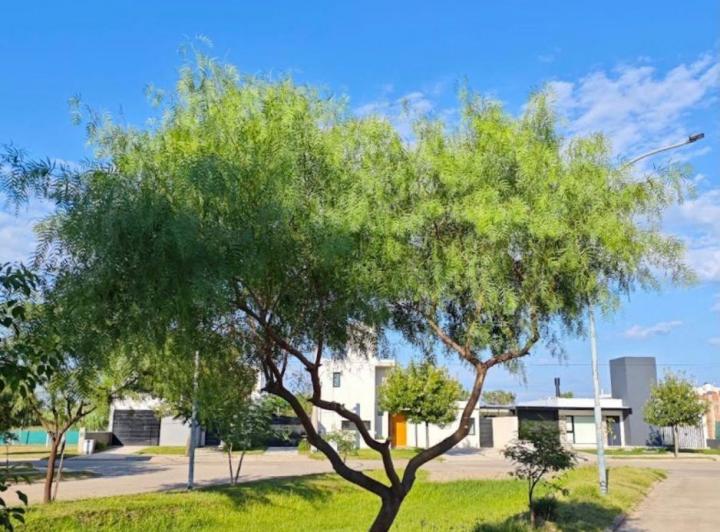 Terreno · 357m²