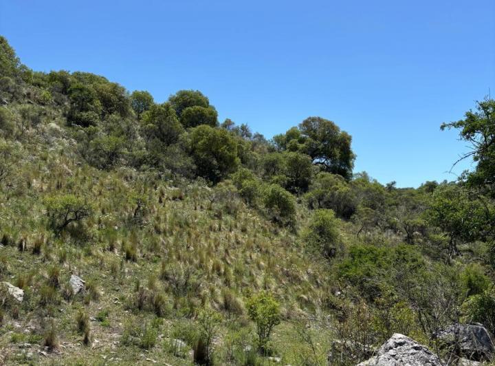 Terreno · 4008m²