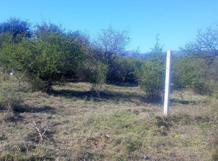 Terreno · 968m²
