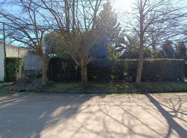 Terreno · 963m²