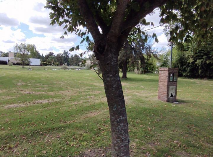 Terreno · 1256m²