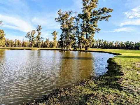Terreno en Venta en Oliveros, Iriondo