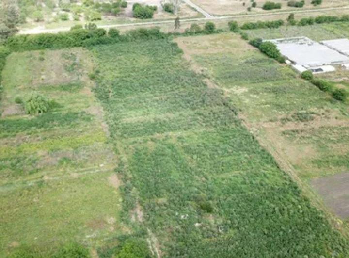 Terreno · 5500m²