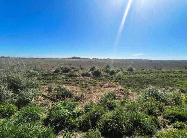 Terreno · 1286m²