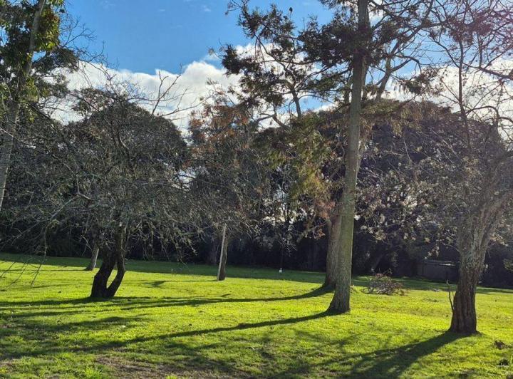 Terreno · 735m²
