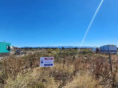 Lote en coirones con escritura! - buena vista