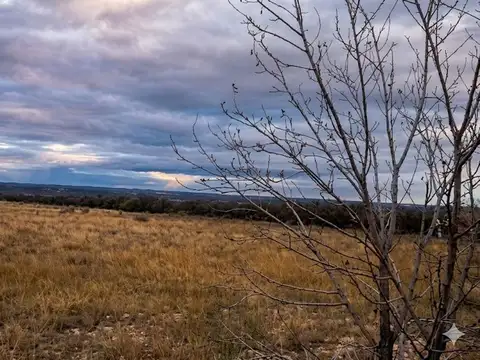 Venta de finca.  kilometro 49. lujan de cuyo
