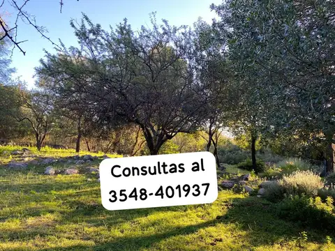 Lote en las dalias eco villa de salud