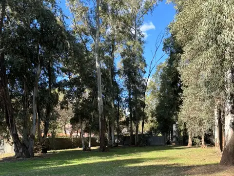 Se vende terreno, estancia la negrita villa maria
