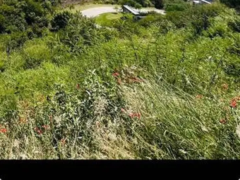 Venta lote en la deseada - la calera -