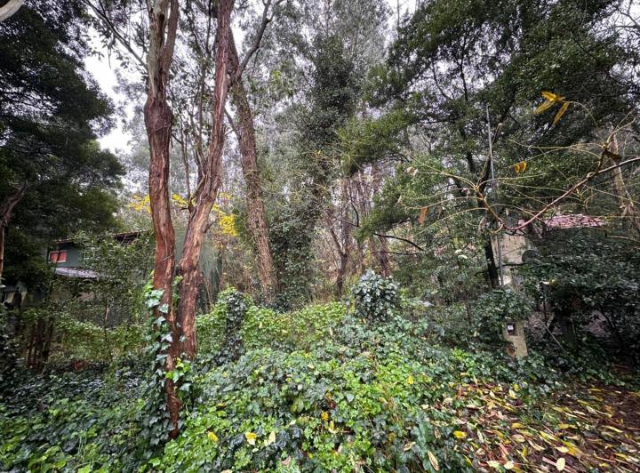 Terreno · 450m²