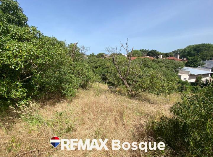 Terreno · 224m²