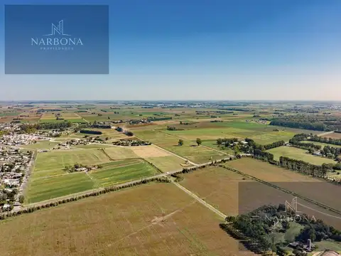 Venta lote de terreno de 587m2 en alea barrio privado. general lagos