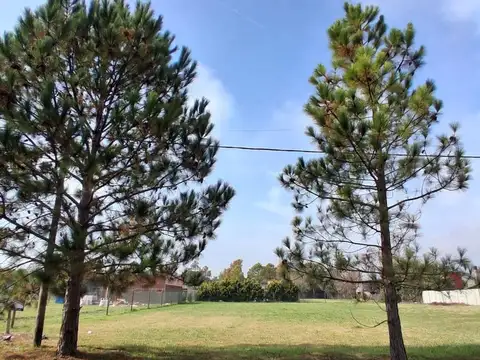 Terreno hectárea en cotos de la alameda
