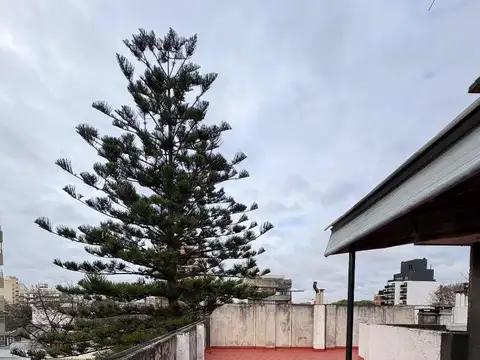 Ph - 2 ambientes con terraza compartida