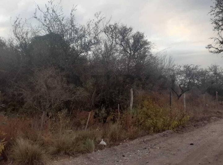 Terreno · 1200m²