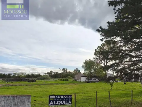 Chacra - gualeguaychu