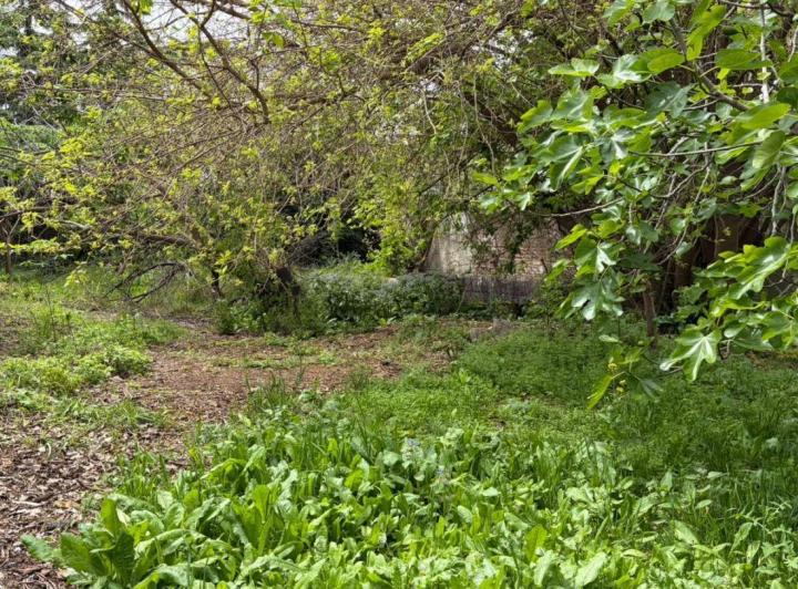 Terreno · 547m²