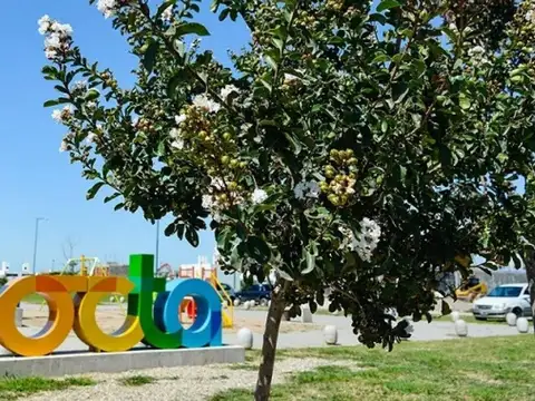 Lote apto duplex 250 m2  "docta avenida" malagueño