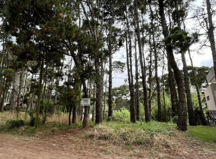 Terreno · 475m²