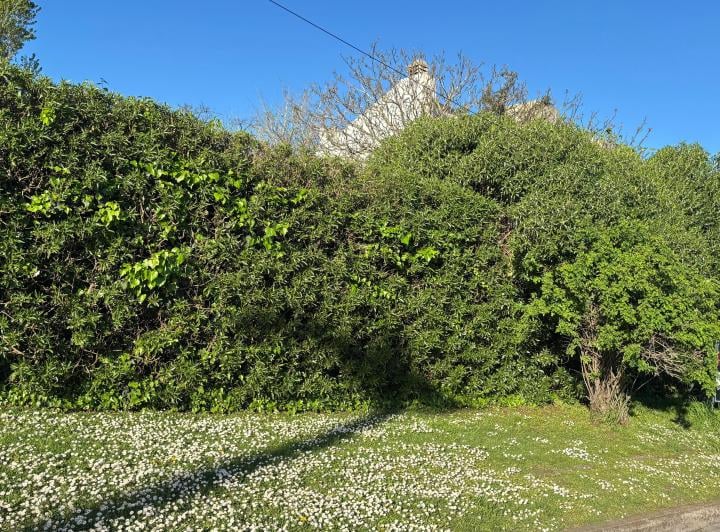 Terreno · 437m²