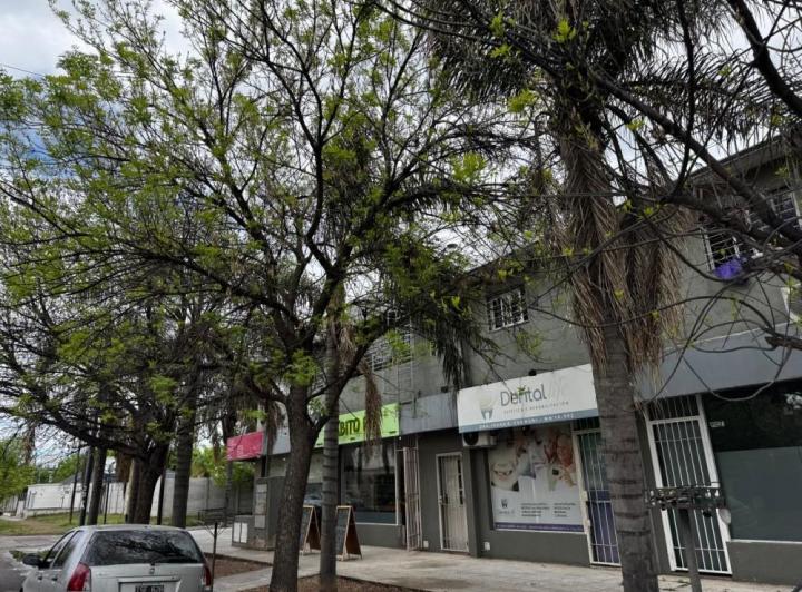 Departamento · 80m² · 3 Ambientes