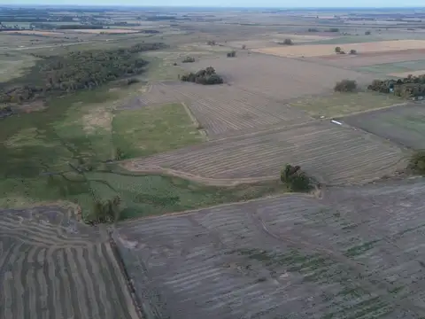 Campo en Venta en Baradero, Partido de Baradero