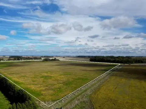 Campo en Alquiler en Balneario Mar Chiquita, Partido de Mar Chiquita