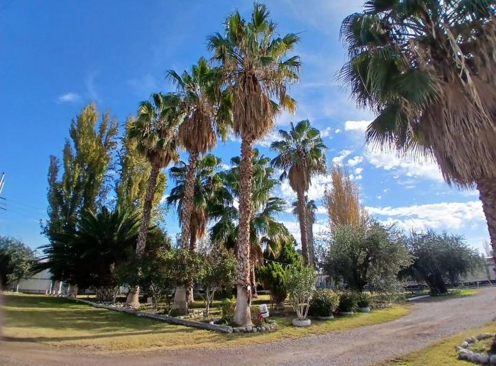 Quinta vacacional · 230m² · 1 Dormitorio · 2 Cocheras