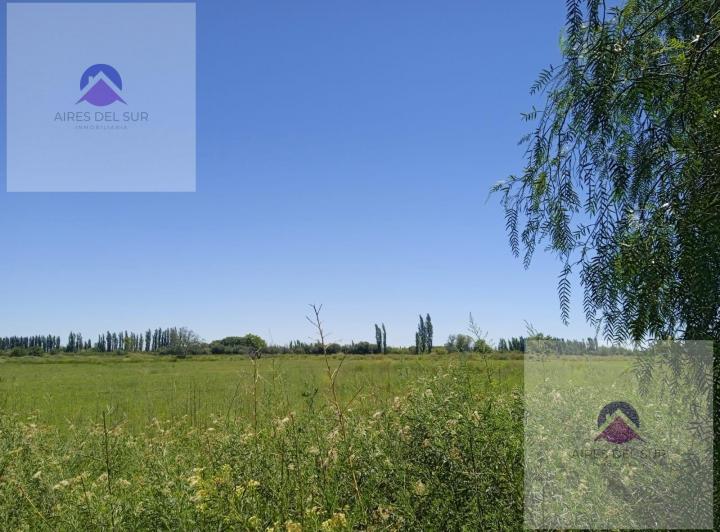 Campo · 50000m²