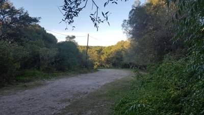 Terreno · 80m² · 2 Ambientes