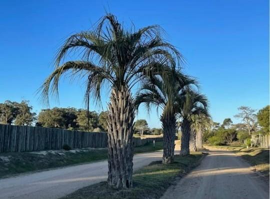 Terreno · 1340m² · 1 Ambiente