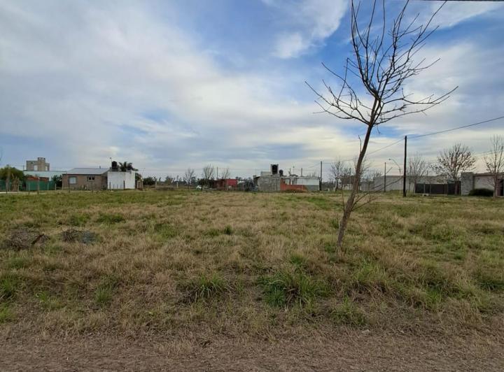 Terreno · 303m²